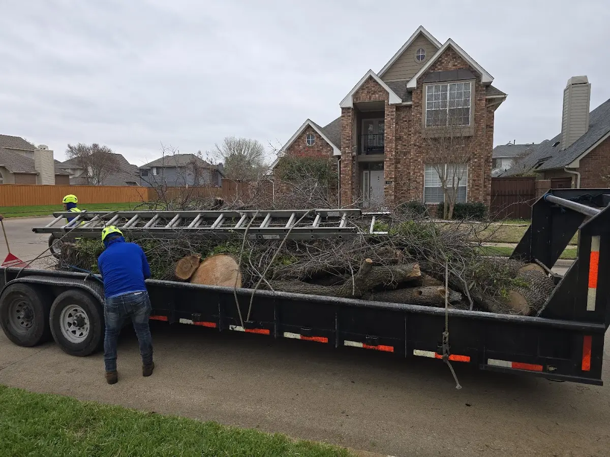 Expert Crown Reduction with proper safety equipment in West Milton